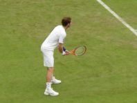 Andy Murray- Wimbledon Tennis London